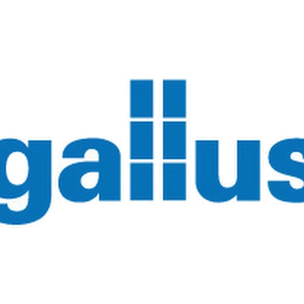 gallus