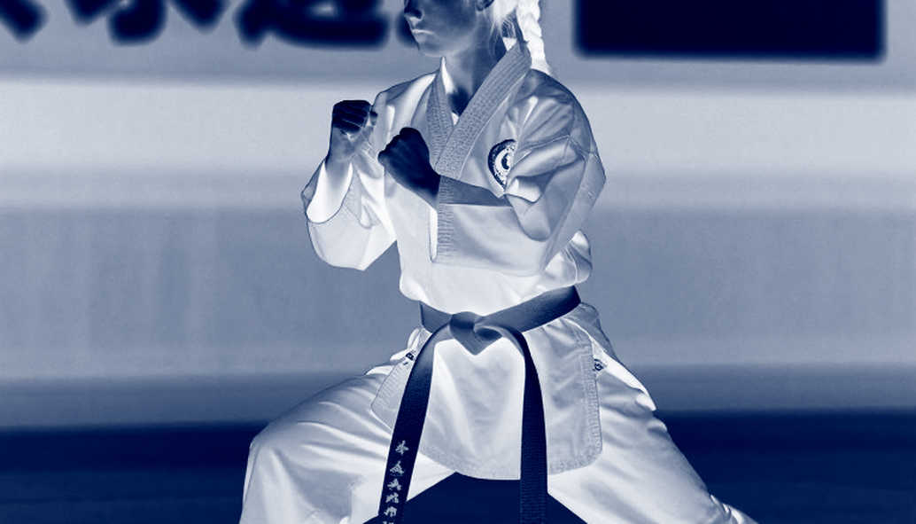 Vietnamese Martial Arts: When the Analytical Framework Is Wrong, Conclusions Become Meaningless Vietnamese Martial Arts: When the Analytical Framework Is Wrong, Conclusions Become Meaningless