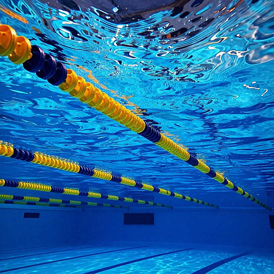 Willow TV and 700 Free Swimming Hours in Nagoya: When Asian Sports Rights Are Priced by Reach Willow TV and 700 Free Swimming Hours in Nagoya: When Asian Sports Rights Are Priced by Reach
